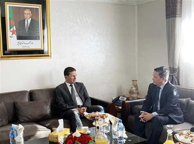 越南促进与阿尔及利亚的经贸投资合作关系 ảnh 1