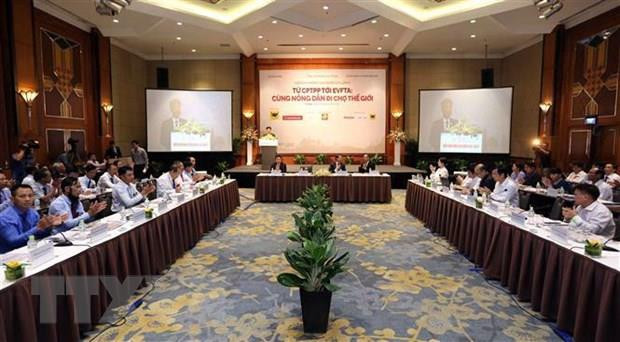 越南农产品迎来进军大市场的机会 ảnh 1 越南农产品迎来进军大市场的机会 ảnh 1