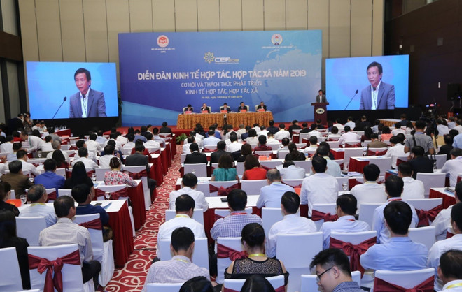 王廷惠副总理:合作社在集体经济中一直起着核心作用 ảnh 4 王廷惠副总理:合作社在集体经济中一直起着核心作用 ảnh 4