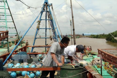 解除欧洲理事会IUU“黄牌警告”的4个解决方案 ảnh 1 解除欧洲理事会IUU“黄牌警告”的4个解决方案 ảnh 1