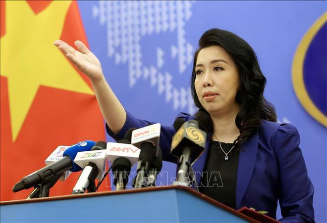 越南多错并举促进渔业可持续发展 ảnh 1