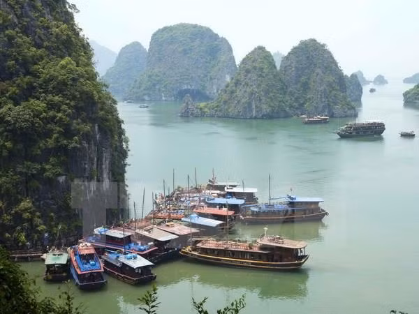 2019年前9月广宁省旅游业总收入达近23万亿越盾 ảnh 1