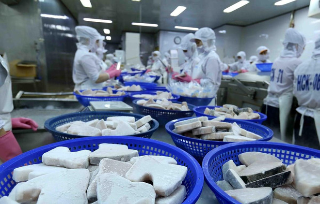 英国专家高度评价越南的国际一体化和投资机遇 ảnh 1