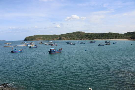 越南举办国家海洋经济核算体系测试结果咨询研讨会 ảnh 1