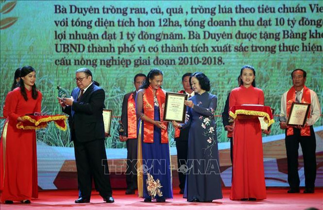越南63名模范农民受表彰 ảnh 1 越南63名模范农民受表彰 ảnh 1