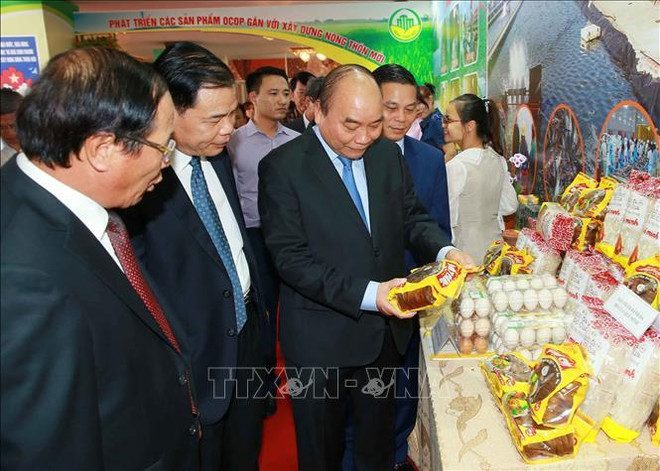 阮春福呼吁各阶层人民同心协力,共建新农村,建设富饶、美丽、文明的海防市 ảnh 1 阮春福呼吁各阶层人民同心协力,共建新农村,建设富饶、美丽、文明的海防市 ảnh 1