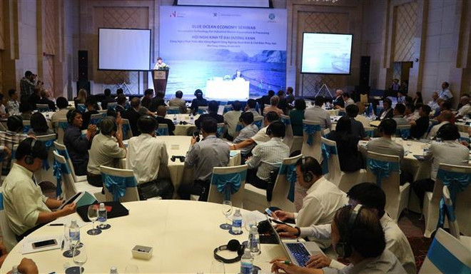 越南与挪威合作促进海水养殖业和水产养殖业发展 ảnh 1