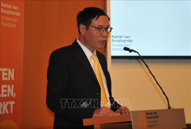 比利时安特卫普省深化与越南的贸易合作 ảnh 2 比利时安特卫普省深化与越南的贸易合作 ảnh 2