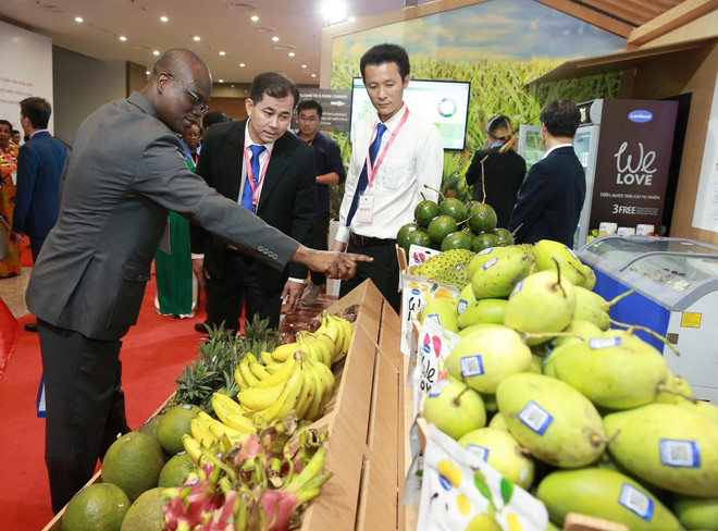 中东和非洲地区——越南企业的潜在市场 ảnh 1 中东和非洲地区——越南企业的潜在市场 ảnh 1