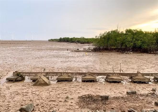 九龙江三角洲地面沉降平均每年下沉2-5公分 ảnh 1
