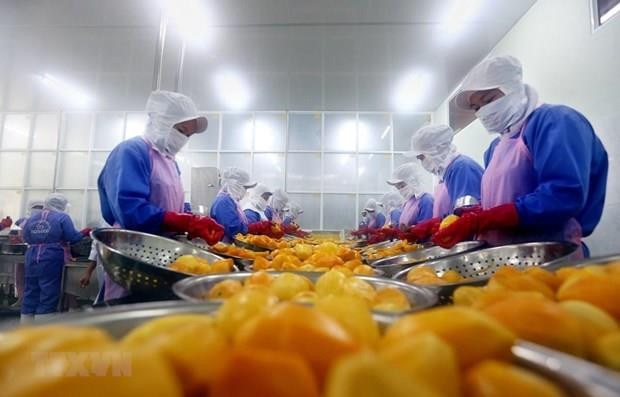 今年前8月全国贸易顺差为34亿美元 ảnh 1 今年前8月全国贸易顺差为34亿美元 ảnh 1