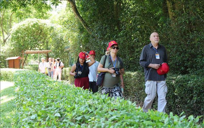 国际记者代表团对乂安省各旅游景点印象深刻 ảnh 1 国际记者代表团对乂安省各旅游景点印象深刻 ảnh 1