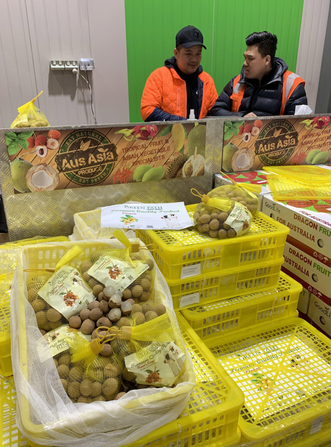 越南龙眼正式与澳大利亚消费者见面 ảnh 1