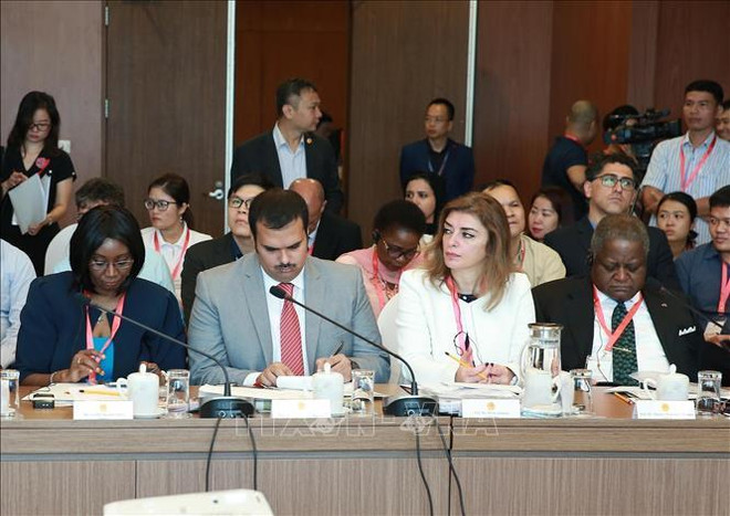 越南召开“2019年中东非洲国家大使见面会”会议 ảnh 2