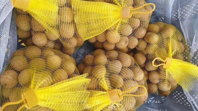 越南首批新鲜龙眼正式抵达澳大利亚 ảnh 1 越南首批新鲜龙眼正式抵达澳大利亚 ảnh 1