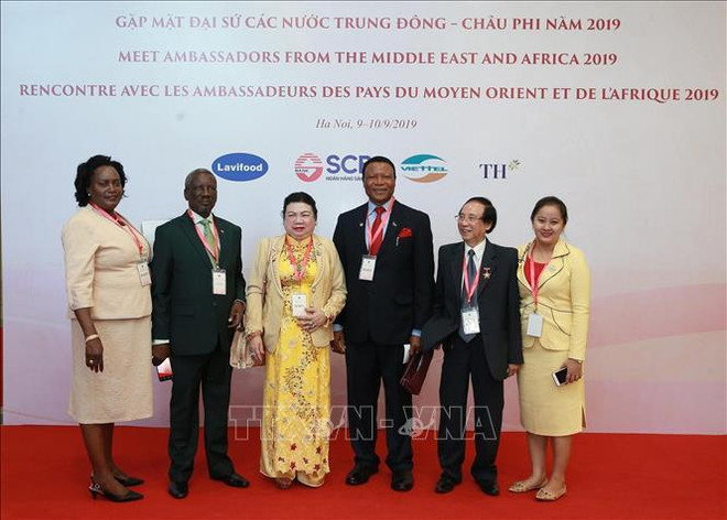 进一步深化越南与中东和非洲地区各国的传统友好合作关系 ảnh 1