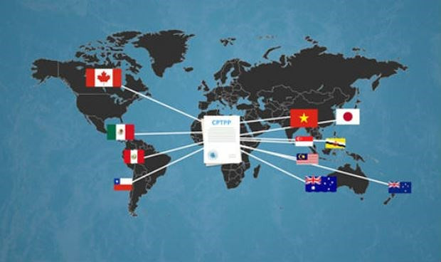 越南加入CPTPP：机遇和挑战并存 ảnh 1