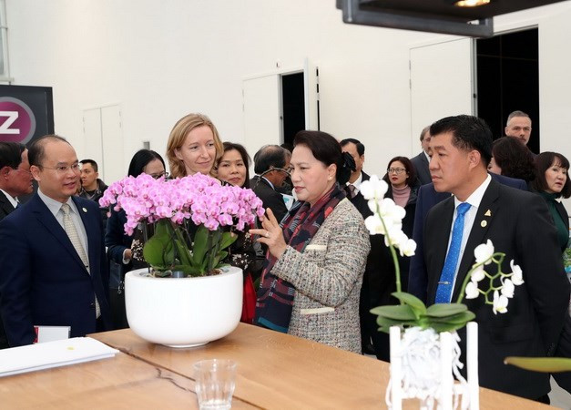 越南国会主席阮氏金银参观访问荷兰世界园艺中心 ảnh 1 越南国会主席阮氏金银参观访问荷兰世界园艺中心 ảnh 1
