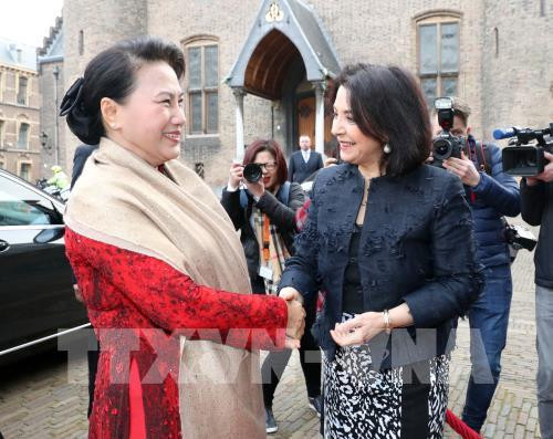 越南国会主席阮氏金银探访荷兰三角洲研究院 ảnh 1 越南国会主席阮氏金银探访荷兰三角洲研究院 ảnh 1
