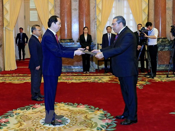陈大光接受南非和埃及新任驻越大使递交国书 ảnh 2 陈大光接受南非和埃及新任驻越大使递交国书 ảnh 2