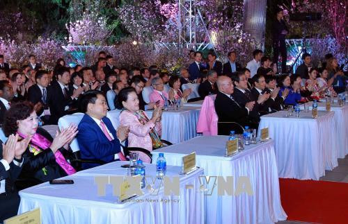 越南国会主席阮氏金银出席2018年日本文化交流节 ảnh 1