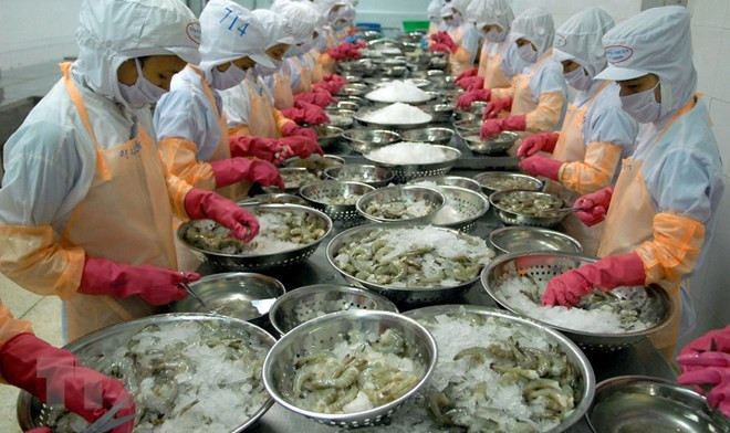 展开落实到2025年越南虾产业发展行动计划 ảnh 1