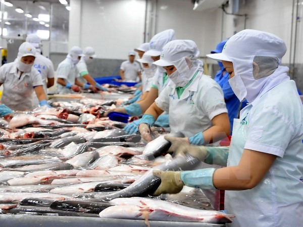 2015年前11个月越南农林水产品出口额达274.1亿美元 ảnh 1 2015年前11个月越南农林水产品出口额达274.1亿美元 ảnh 1