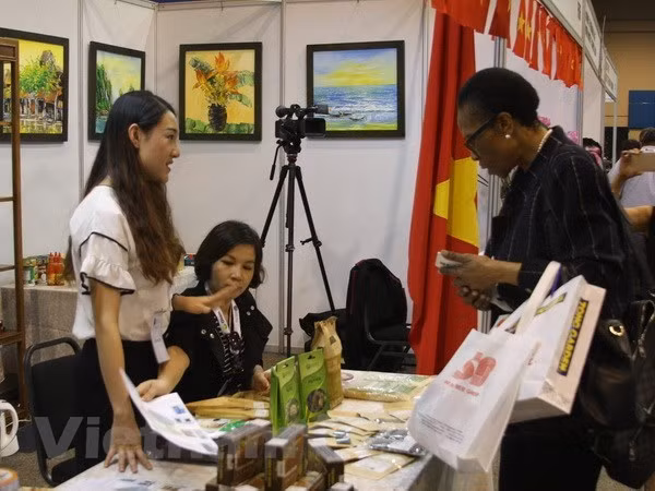 越南与南非重视推动各领域合作向前发展 ảnh 1