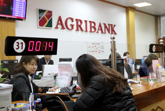 越南Agribank银行为高科技农业提供优惠贷款 ảnh 1 越南Agribank银行为高科技农业提供优惠贷款 ảnh 1