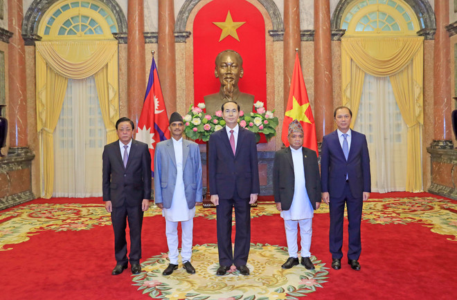 越南国家主席陈大光接受九国新任驻越大使递交国书 ảnh 2 越南国家主席陈大光接受九国新任驻越大使递交国书 ảnh 2