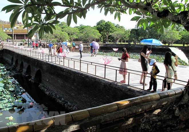 承天顺化省接待国际游客量115万多人次 ảnh 2 承天顺化省接待国际游客量115万多人次 ảnh 2