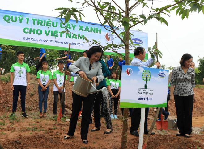 “越南一百万颗树基金”计划在北件省开展植树活动 ảnh 1 “越南一百万颗树基金”计划在北件省开展植树活动 ảnh 1