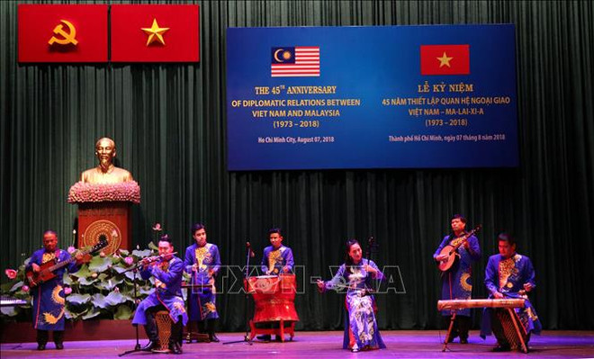 越南与马来西亚建交45周年庆祝活动在胡志明市举行 ảnh 1