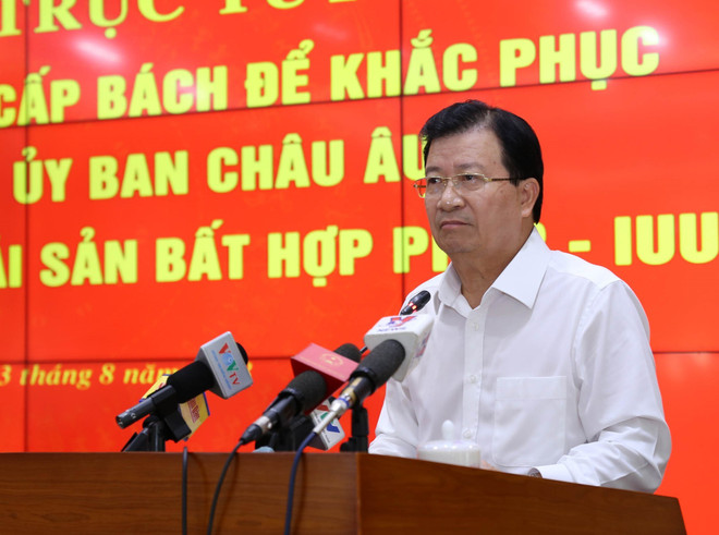 越南多措并举解决越南渔业“黄牌”警告问题 ảnh 2