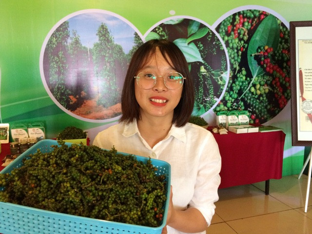 “广治省胡椒”地理标志公布 ảnh 2 “广治省胡椒”地理标志公布 ảnh 2