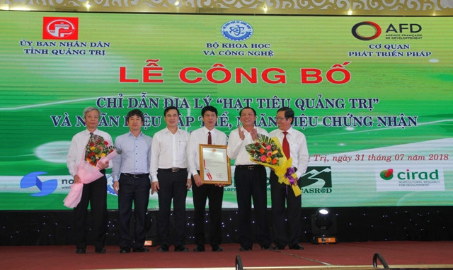 “广治省胡椒”地理标志公布 ảnh 1 “广治省胡椒”地理标志公布 ảnh 1