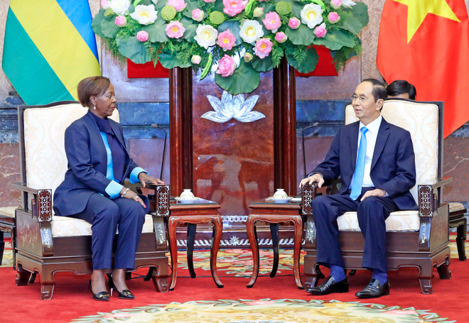 越南扩大与卢旺达和几内亚的多领域合作关系 ảnh 1 越南扩大与卢旺达和几内亚的多领域合作关系 ảnh 1