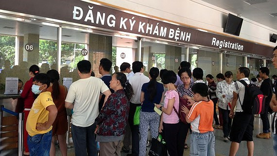 越南扩大与世界卫生组织的合作 ảnh 1