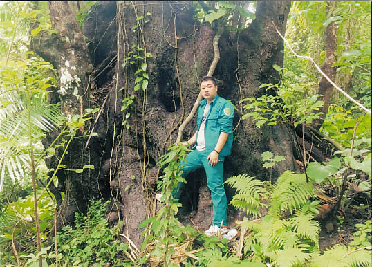 昆山岛国家公园3大古老树木被列入越南遗产树名录 ảnh 1 昆山岛国家公园3大古老树木被列入越南遗产树名录 ảnh 1