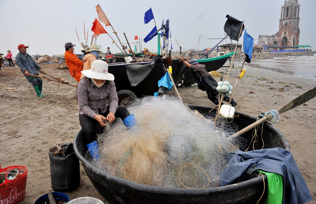 南定省渔民出海回来 收获满仓 ảnh 1 南定省渔民出海回来 收获满仓 ảnh 1