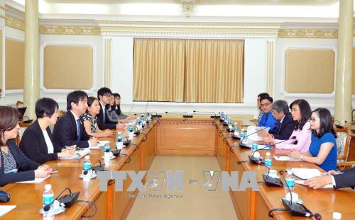 加强越南胡志明市与日本大阪府年轻人的交流 ảnh 1