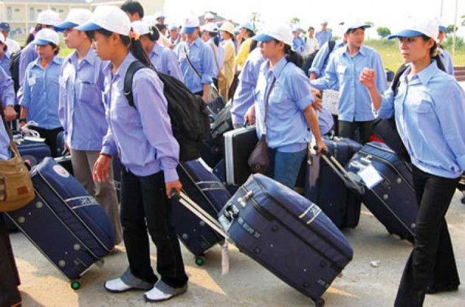 永福省加强劳务输出 解决就业问题 ảnh 1 永福省加强劳务输出 解决就业问题 ảnh 1