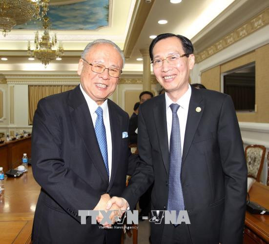 越南—日本文化节为胡志明市市民留下良好印象 ảnh 1 越南—日本文化节为胡志明市市民留下良好印象 ảnh 1