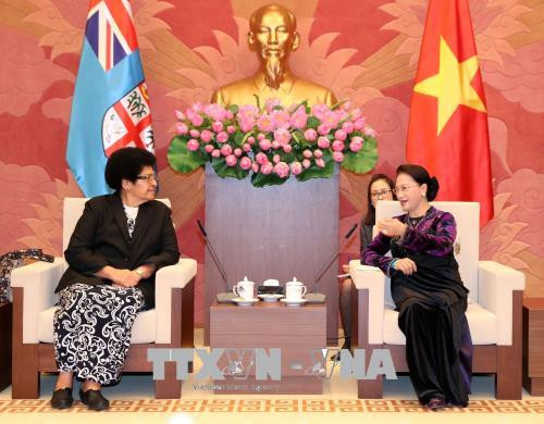 越南国会主席阮氏金银会见斐济议长吉科•卢维尼 ảnh 2