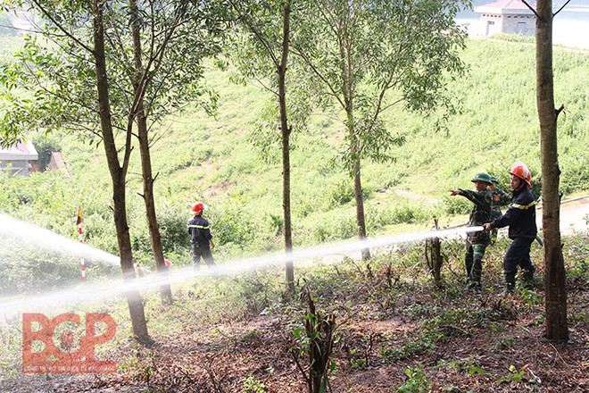 北江省加强森林资源保护管理工作 ảnh 1 北江省加强森林资源保护管理工作 ảnh 1