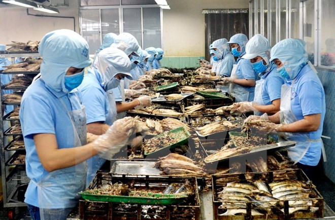 茶荣省为10个农业农村发展项目招商引资 ảnh 1