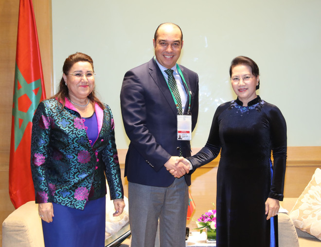 国会主席阮氏金银会见日本和摩洛哥客人 ảnh 2