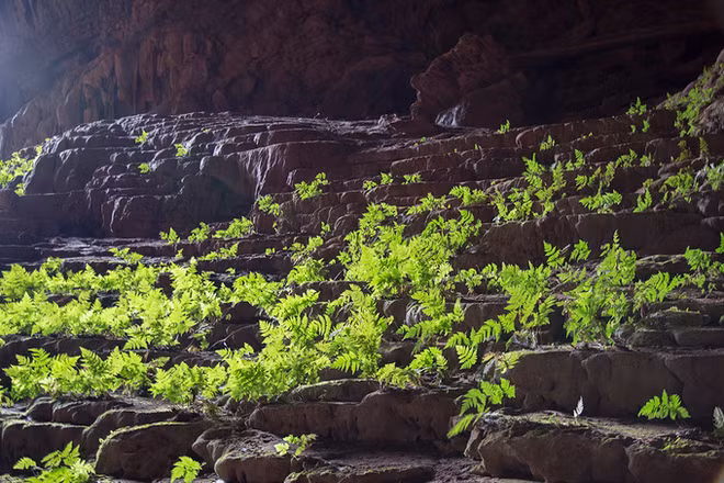 广平省开通世界第四大洞穴探险旅游线路 ảnh 2 广平省开通世界第四大洞穴探险旅游线路 ảnh 2