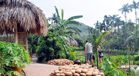 秋天到了,来广宁省东朝市安德村庄旅游吧! ảnh 1 秋天到了,来广宁省东朝市安德村庄旅游吧! ảnh 1