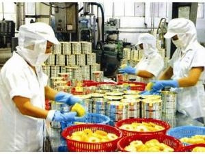 越南对东盟各国贸易逆差日益上升 ảnh 1 越南对东盟各国贸易逆差日益上升 ảnh 1